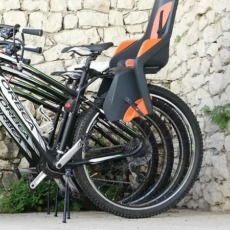 Eco The Dreamers's Club