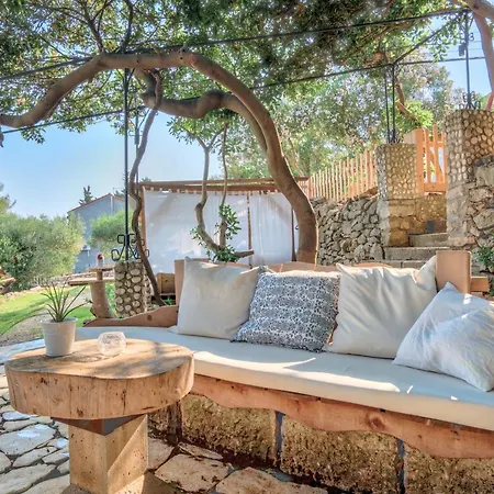 Eco The Dreamers's Club