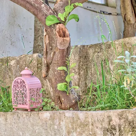 Apartament Eco The Dreamers's Club