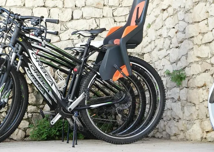 Eco The Dreamers's Club